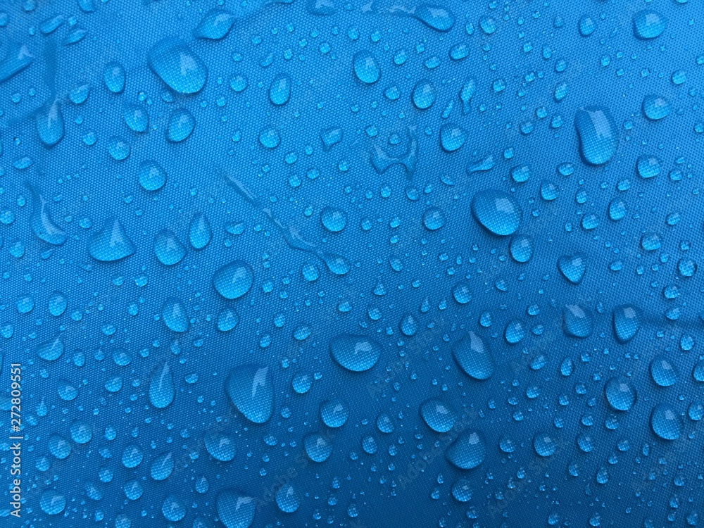 The rain water is on a blue umbrella, close to the shoots. 