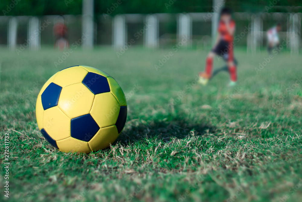 Football on the grass at the stadium 