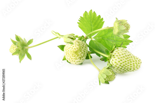 Unripe strawberry on white background