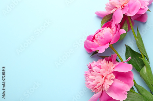 Beautiful peony flowers on color background © Pixel-Shot