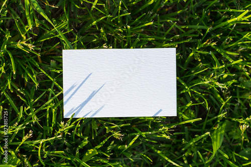 empty business card on grass background