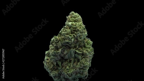 Cannabis, Special, Big Buddha Cheese, Rotate, Strain Bud
