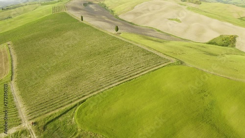 Val d'Orcia in Toscana, le bellissime distese collinari di erba e grano con vista aerea dal drone. photo