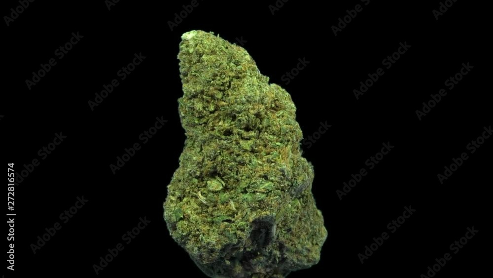 Cannabis, USA Weed, Zookies, Rotate, Strain Bud Cannabis, USA Weed, Zookies, Rotate, Strain Bud