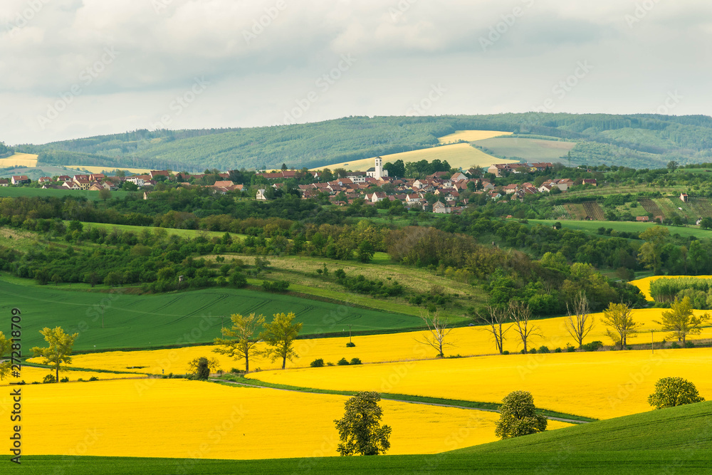 Countryside landscape of fields of rapeseed and wheat, trees on the hills and houses with red roofs under the cloudy sky.