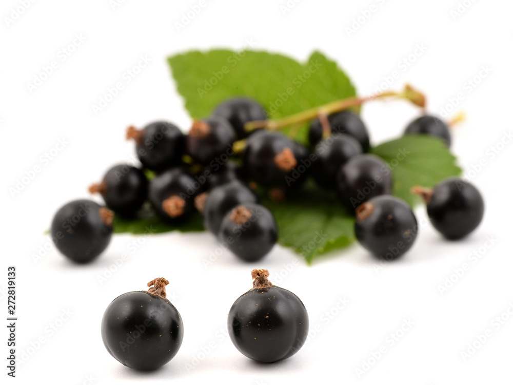 Black currant with leaves on white background. Fresh berries of currant. Black currant with leaves on white background. Fresh berries of currant.