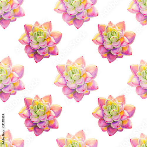 Fototapeta Naklejka Na Ścianę i Meble -  Beautiful colorful succulent seamless pattern. Bouquet of flowers. Floral texture. Marker drawing. Watercolor painting.  Flower painted background. Hand drawn illustration. Wallpaper.