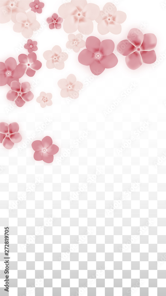 Vector Realistic Pink Flowers Falling on Transparent Background.  Spring Romantic Flowers Illustration. Flying Petals. Sakura Spa Design. Blossom Confetti. Design Elements for Wedding Decoration.