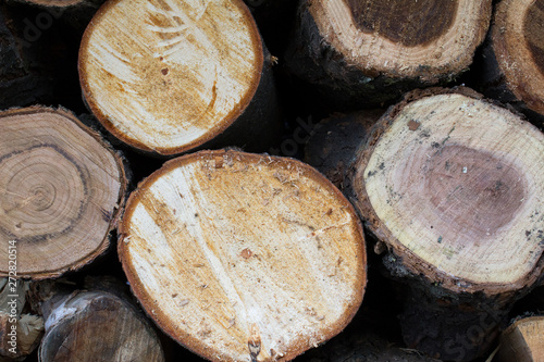 pile of round wooden logs for autumn season