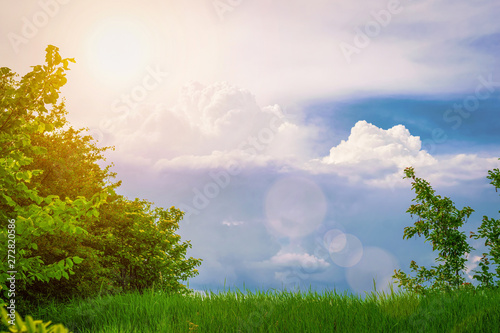 Meadow with green grass and trees against a blue sky with clouds and the sun