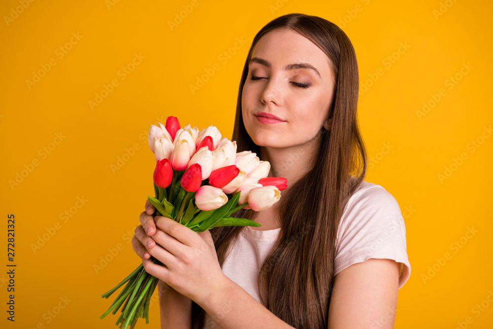 Close up photo beautiful amazing her she lady very long hairstyle hands smell fresh flowers white red tulips surprise birthday party eyes closed wear casual t-shirt isolated bright yellow background Close up photo beautiful amazing her she lady very long hairstyle hands smell fresh flowers white red tulips surprise birthday party eyes closed wear casual t-shirt isolated bright yellow background