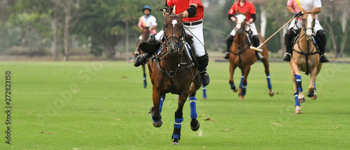 The polo pony running in match.