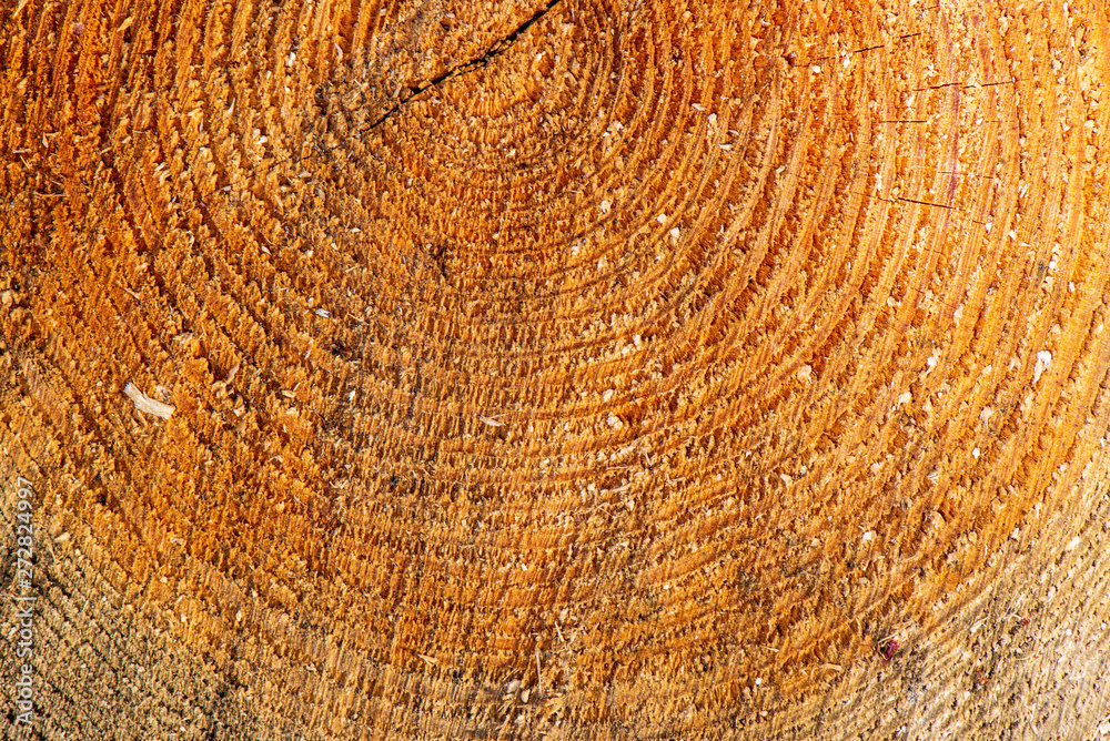 Fototapeta premium pile of fireplace log wood in open air