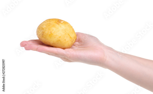 potatoes in hand on white background isolation