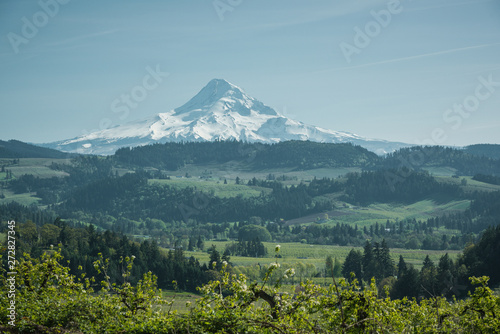 Mt Hood dominating the landscape over the Hood River Valley, Oregon, on a perfect summer afternoon