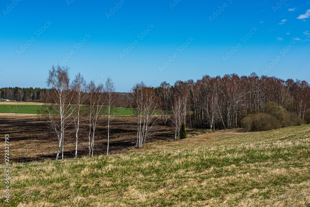Fototapeta premium empty countryside life landscape in late autumn