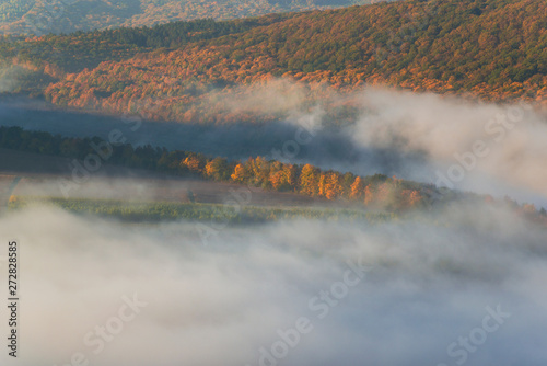 Autumn forests covered with fog photo