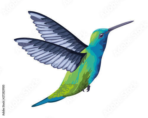 beautiful wild birds icon cartoon
