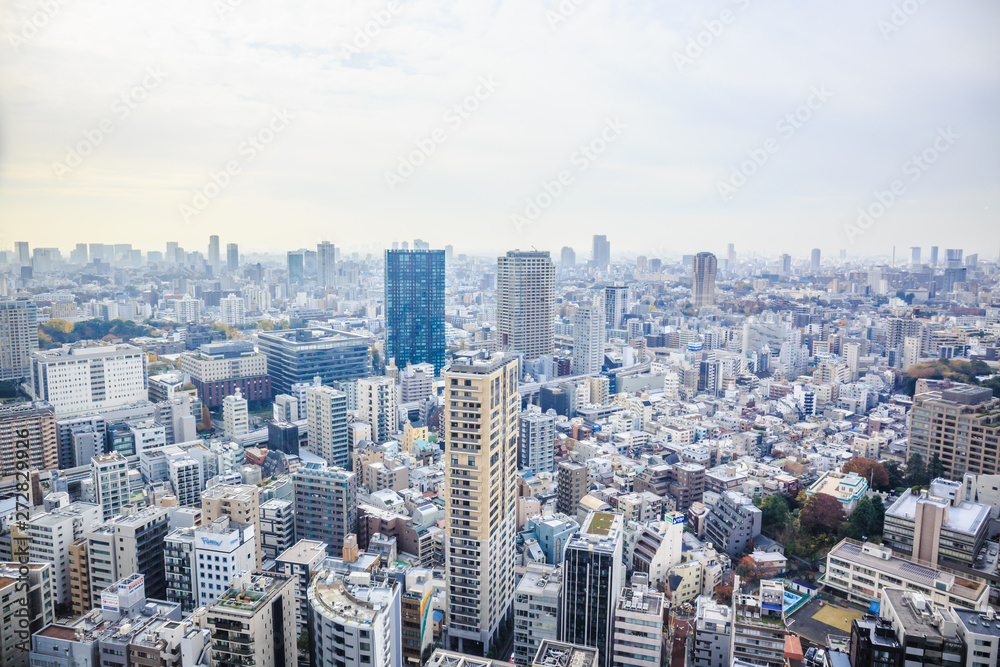 Aerial view of Tokyo cityscape from Tokyo Tower.