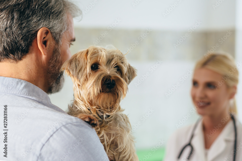 man brings his dog at veterinary clinic man brings his dog at veterinary clinic
