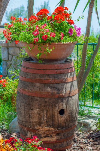 Wine barrel, used as a pedestal for a geranium flower vase