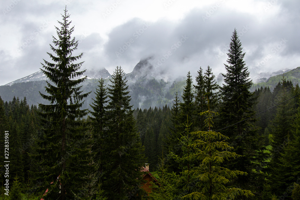 Snowy Mountain Peaks Montenegro Snowy Mountain Peaks Montenegro