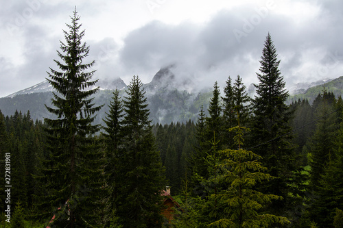 Snowy Mountain Peaks Montenegro
