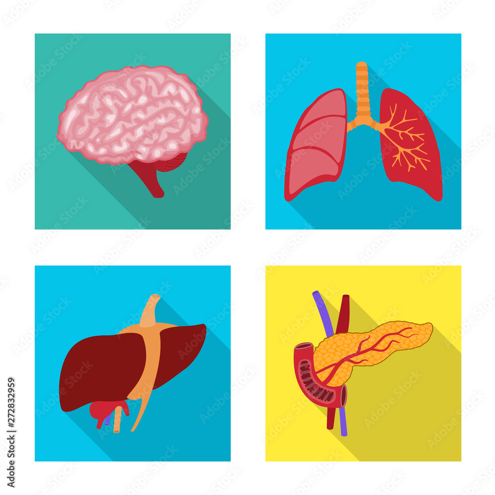 Vector illustration of human and health symbol. Collection of human and scientific vector icon for stock.