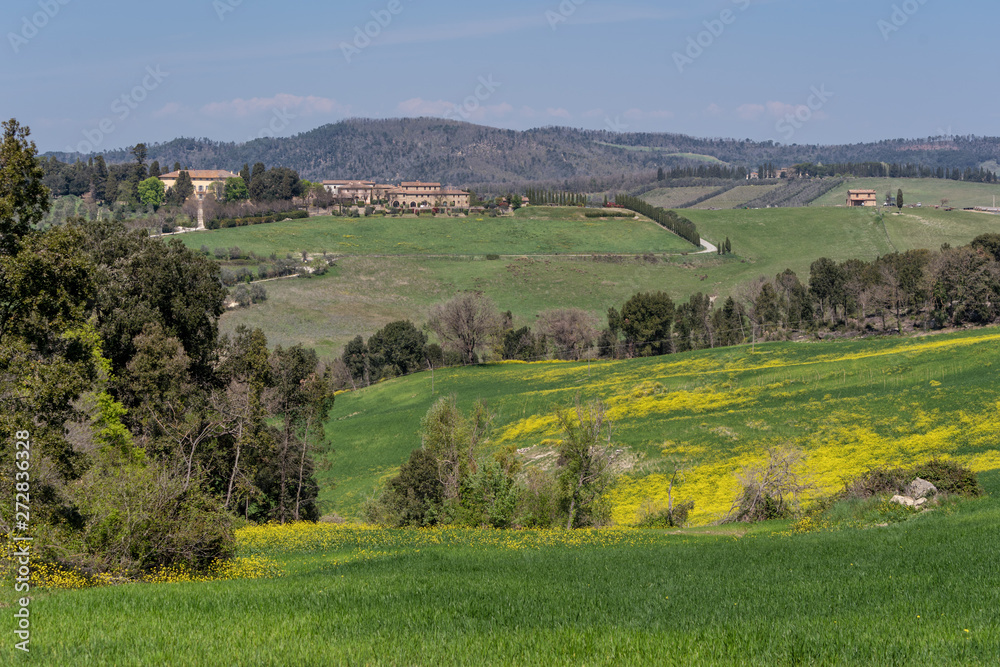 Farmlands of tuscany italy
