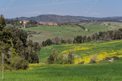 Farmlands of tuscany italy
