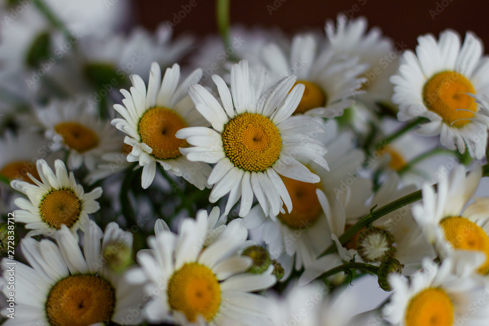 Obraz premium bouquet of yellow flowers