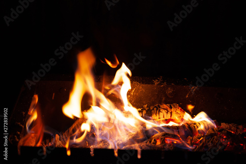 Fire bonfire. The flame of fire burns in an open furnace at night. © Alex Puhovoy
