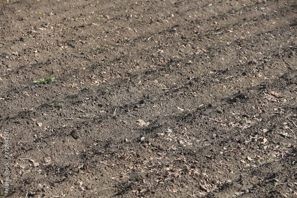 Plowed field Plowed field