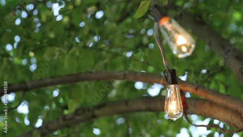 Relaxing outdoor lighting for summer activities with the wind blowing through the trees in summer. photo