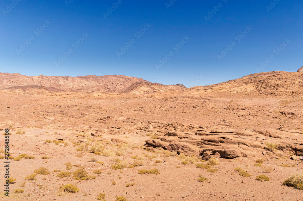 desert landscape, plain and mountains of red sandstone covered with sparse vegetations