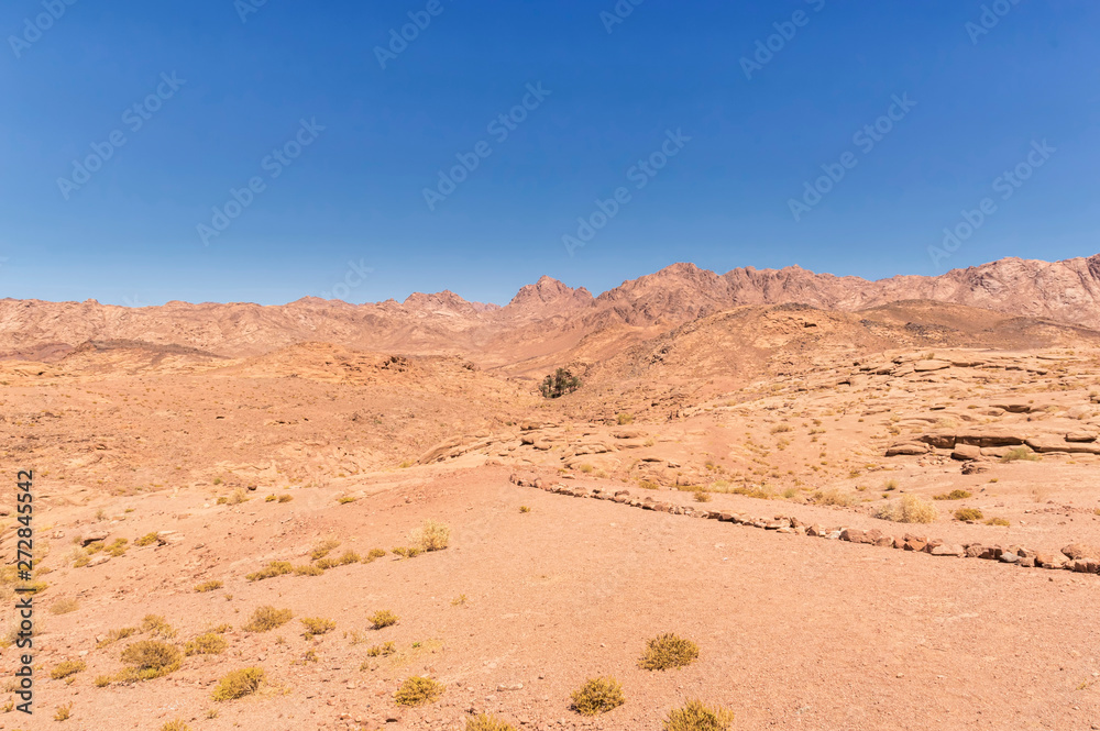 desert landscape, plain and mountains of red sandstone covered with sparse vegetation