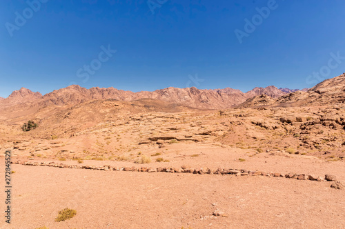 desert landscape, plain and mountains of red sandstone covered with sparse vegetation