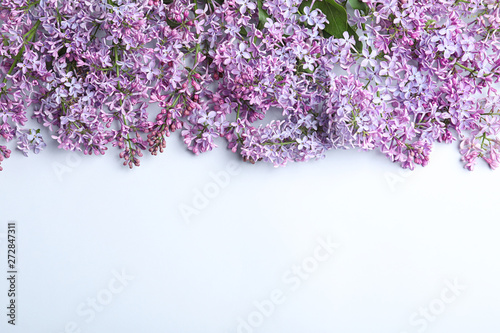 Blossoming lilac on light background  top view. Spring flowers