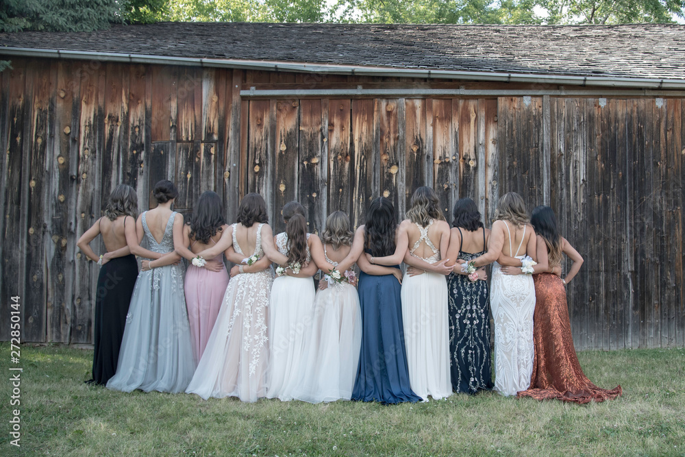 Naklejka premium PROM GIRLS