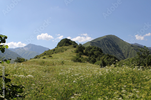 FRANKFURT, GERMANY - SEPTEMBER, 2018:fascinatingly beautiful alpine meadows, green mountains of Georgia, Bear Cross Pass, 2700 meters, close-up, top view, copy spaceon blue background, close up