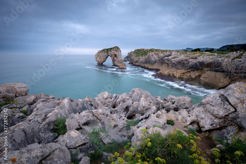 Rocks of Castro de las gaviotas on a cloudy day with stones and flowers in foreground, Asturias, Northern Spain