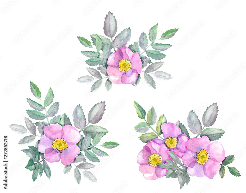 Watercolor compositions with wild rose. Pink flowers and leaves isolated on white background Watercolor compositions with wild rose. Pink flowers and leaves isolated on white background
