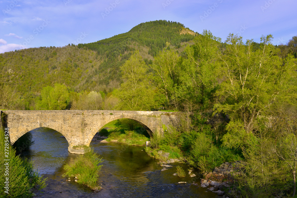 Le pont du Tarn à Florac-Trois-Rivières (48400), département de la Lozère en région Occitanie, France