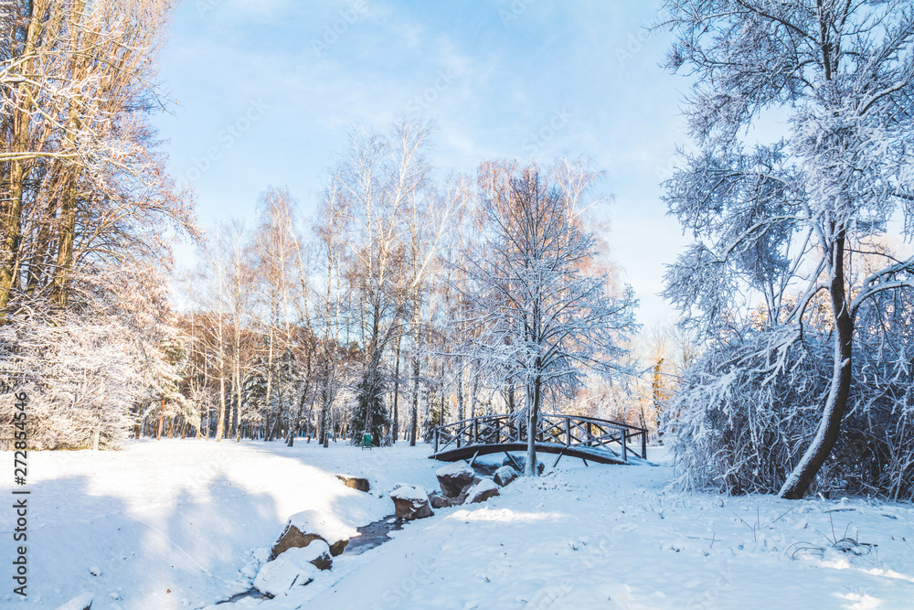 Winter landscape of frosty trees and blue sky Winter landscape of frosty trees and blue sky