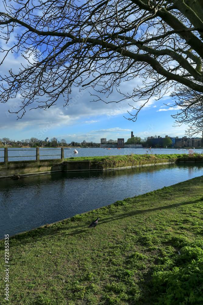 Fototapeta premium Woodberry lake, Stoke Newington, London 
