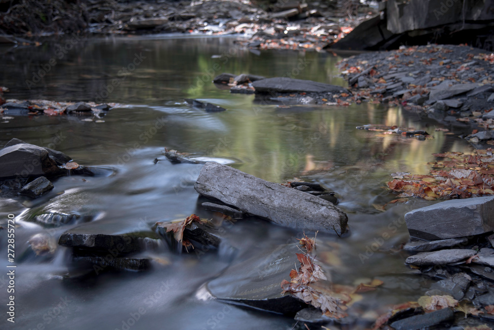 A STREAM IN AUTUMN