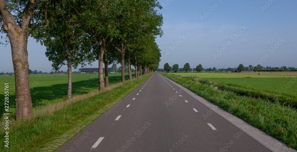 Dutch road in polder. Netherlands.