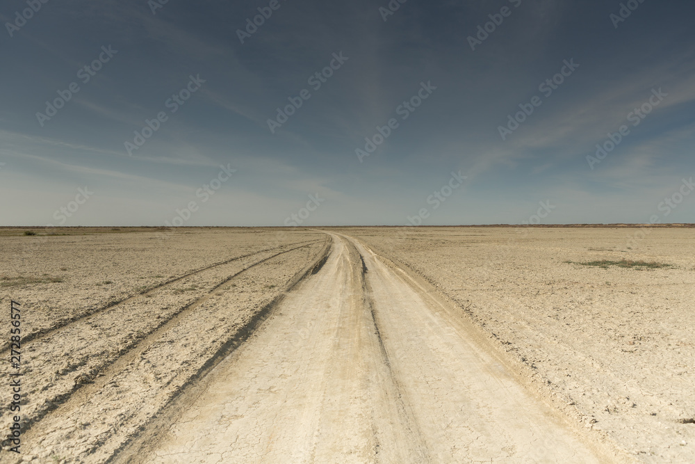 Fototapeta premium Consequences of Aral sea catastrophe. Sandy salt desert on the place of former bottom of Aral sea.