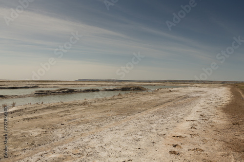 The dried-up Aral sea in summer  the water crisis on the planet and the concept of climate change