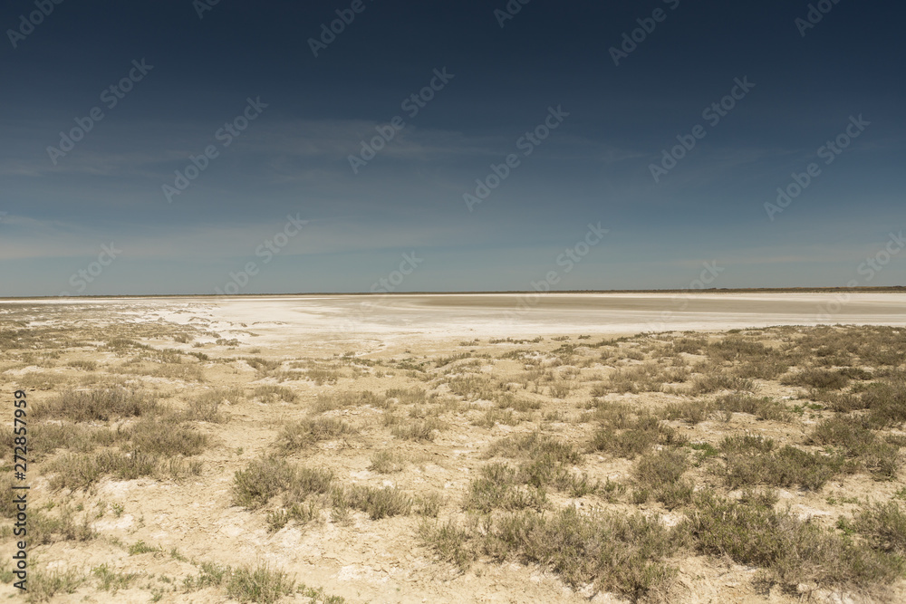 Consequences of the Aral sea disaster.Steppe and sand on the site of the former bottom of the Aral sea.Kazakhstan Consequences of the Aral sea disaster.Steppe and sand on the site of the former bottom of the Aral sea.Kazakhstan